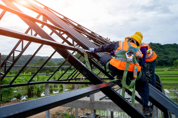Best Metal Roofing Contractor  in Csar Chvez, TX