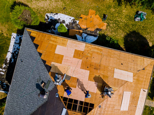 Best Commercial Roofing Services  in Csar Chvez, TX