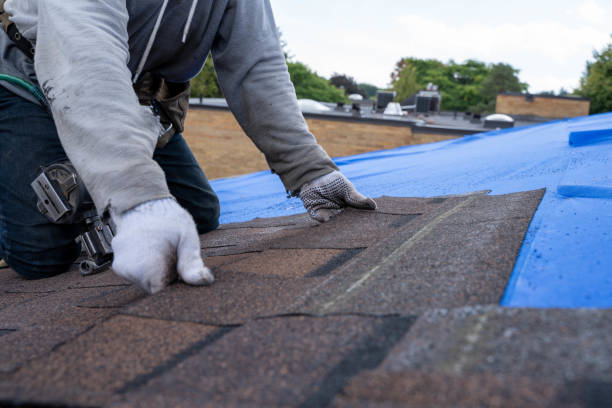 Best Roof Waterproofing Services  in Csar Chvez, TX